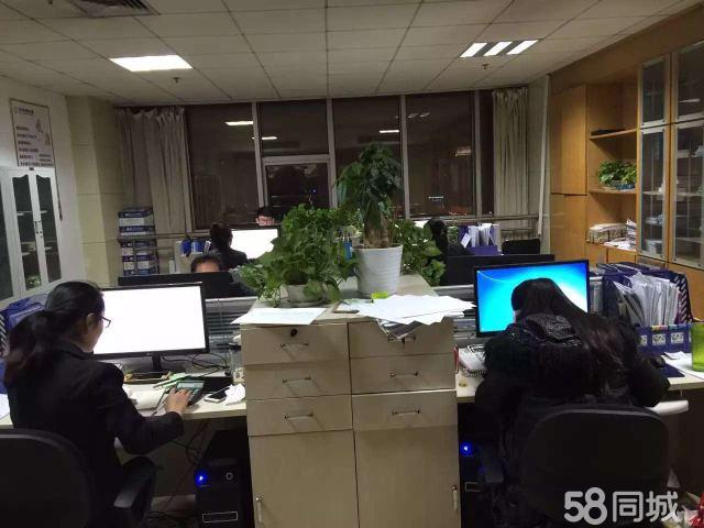 山東金證信息咨詢服務 賦能企業(yè)決策的專業(yè)伙伴